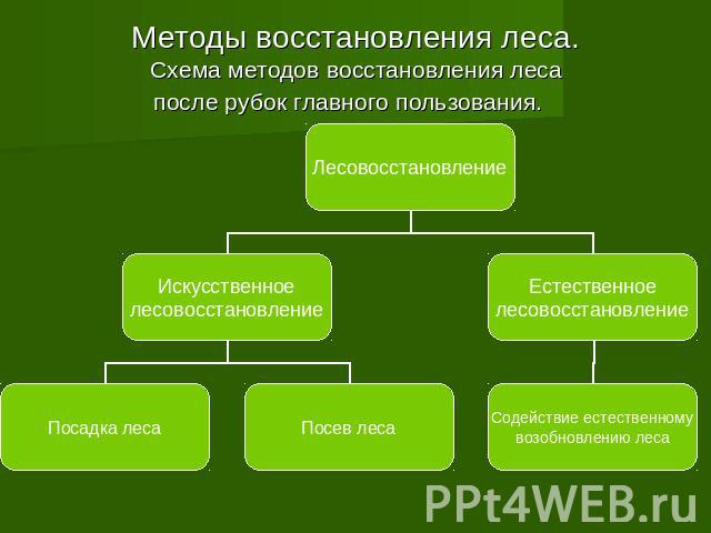 Методы восстановления леса. Схема методов восстановления леса после рубок главного пользования.