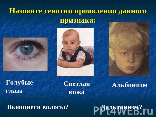 Назовите генотип проявления данного признака: Голубые глаза Светлая кожа Альбинизм Вьющиеся волосы? Дальтонизм?