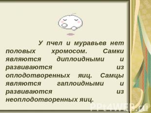 У пчел и муравьев нет половых хромосом. Самки являются диплоидными и развиваются