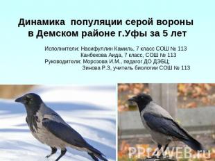 Динамика популяции серой вороны в Демском районе г.Уфы за 5 лет Исполнители: Нас