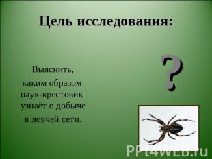 Цель исследования: Выяснить, каким образом паук-крестовик узнаёт о добыче в ловч