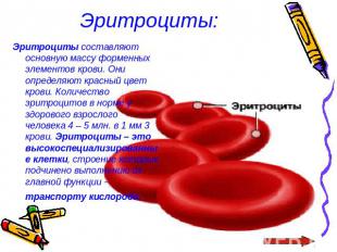 Эритроциты: Эритроциты составляют основную массу форменных элементов крови. Они