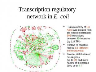 Transcription regulatory network in E. coli Data (courtesy of Uri Alon) was cura