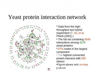 Yeast protein interaction network Data from the high-throughput two-hybrid exper