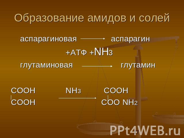 Образование амидов и солей аспарагиновая аспарагин +АТФ +NН3 глутаминовая глутамин СООН NН3 СООН СООН СОО NН2