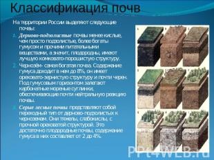 Классификация почв На территории России выделяют следующие почвы: Дерново-подзол