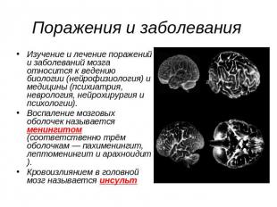 Поражения и заболевания Изучение и лечение поражений и заболеваний мозга относит