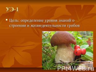 УЭ-1 Цель: определение уровня знаний о строении и жизнедеятельности грибов