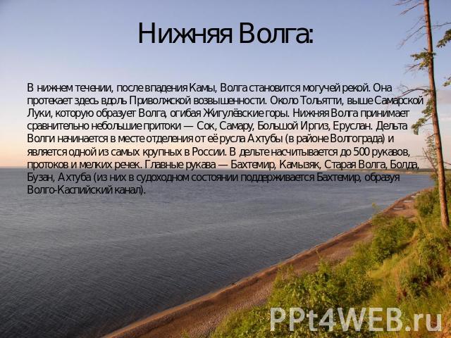 Нижняя Волга: В нижнем течении, после впадения Камы, Волга становится могучей рекой. Она протекает здесь вдоль Приволжской возвышенности. Около Тольятти, выше Самарской Луки, которую образует Волга, огибая Жигулёвские горы. Нижняя Волга принимает ср…