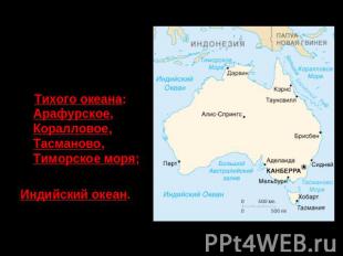 Северное и восточное побережья Австралии омывают моря: Тихого океана: Арафурское