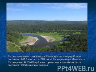 Россию называют страной лесов. Лесопокрытая площадь России составляет 763,5 млн