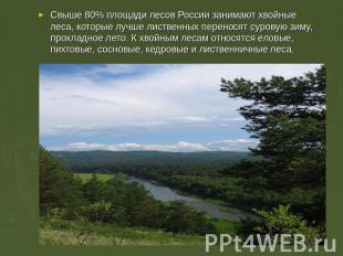 Свыше 80% площади лесов России занимают хвойные леса, которые лучше лиственных п