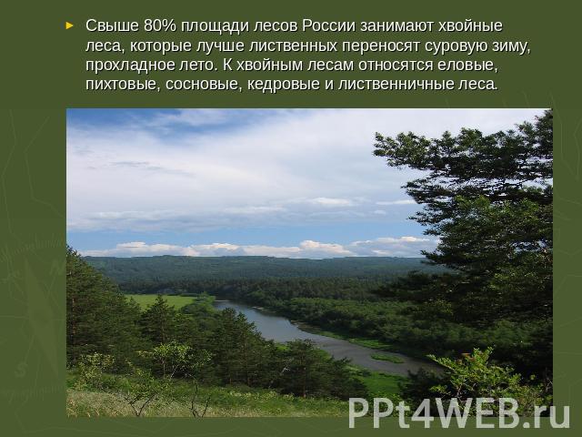 Свыше 80% площади лесов России занимают хвойные леса, которые лучше лиственных переносят суровую зиму, прохладное лето. К хвойным лесам относятся еловые, пихтовые, сосновые, кедровые и лиственничные леса.
