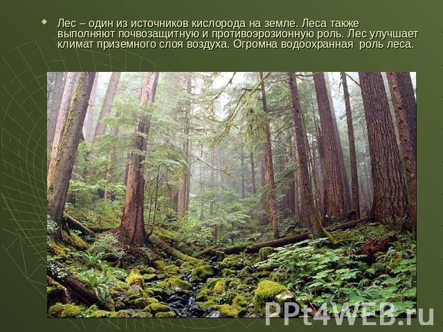 Лес – один из источников кислорода на земле. Леса также выполняют почвозащитную и противоэрозионную роль. Лес улучшает климат приземного слоя воздуха. Огромна водоохранная роль леса.
