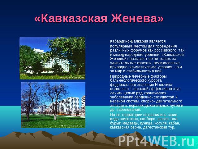«Кавказская Женева» Кабардино-Балкария является популярным местом для проведения различных форумов как российского, так и международного уровней. «Кавказской Женевой» называют ее не только за удивительные красоты, великолепные природно- климатически…