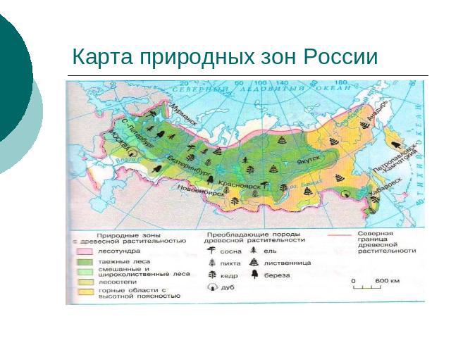 Карта природных зон России