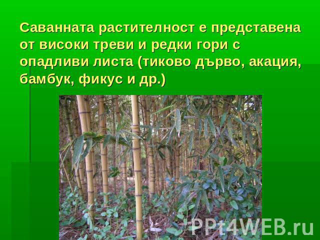 Саванната растителност е представена от високи треви и редки гори с опадливи листа (тиково дърво, акация, бамбук, фикус и др.)