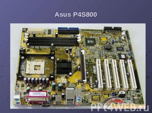 Asus P4S800