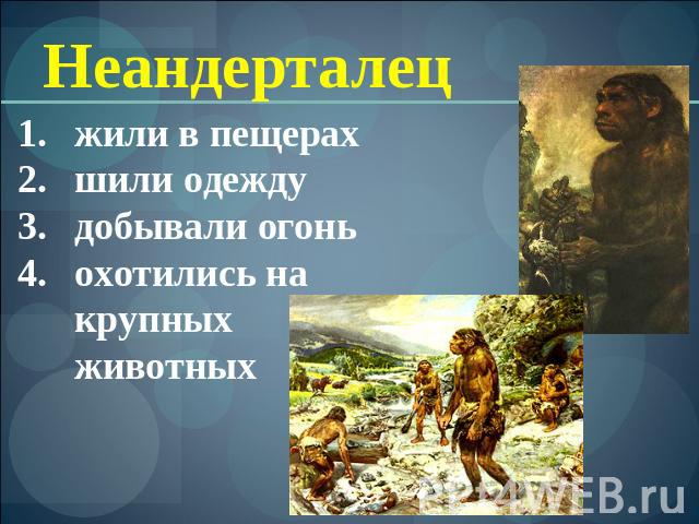 Неандерталец жили в пещерах шили одежду добывали огонь охотились на крупных животных