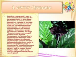 1 место: Орхидеи Семейство этих растений – одно из самых многочисленных в мире.