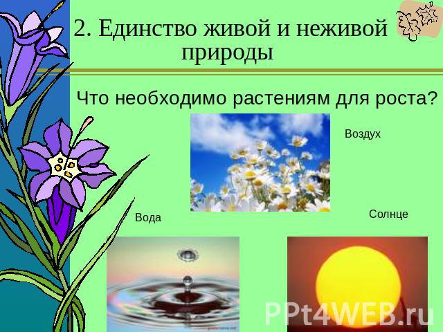 2. Единство живой и неживой природы Что необходимо растениям для роста? Вода Воздух Солнце