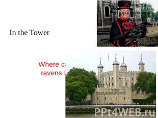 Where can you see ravens in London? In the Tower