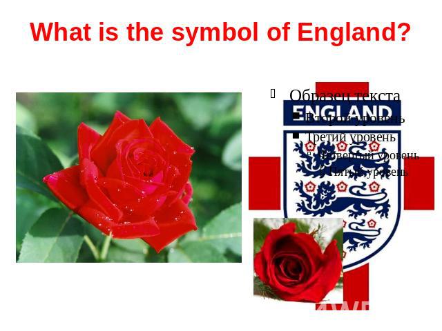 What is the symbol of England?