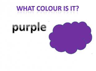 What colour is it? purple