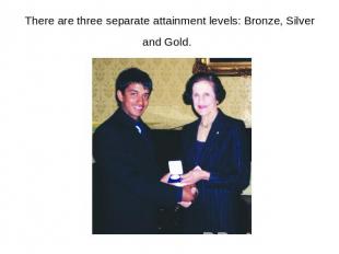 There are three separate attainment levels: Bronze, Silver and Gold.