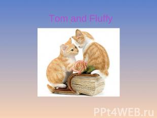Tom and Fluffy