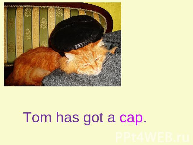 Tom has got a cap.