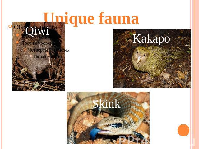 Unique fauna Qiwi Kakapo Skink