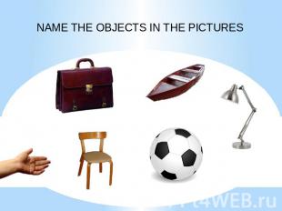 NAME THE OBJECTS IN THE PICTURES