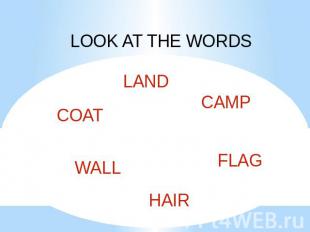 LOOK AT THE WORDS LAND CAMP FLAG HAIR WALL COAT