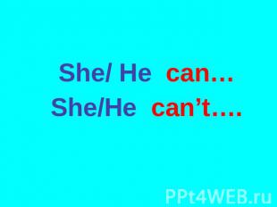 She/ He сan… She/He can’t….