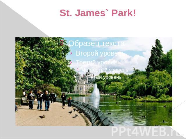 St. James` Park!