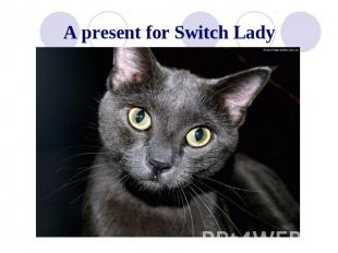 A present for Switch Lady