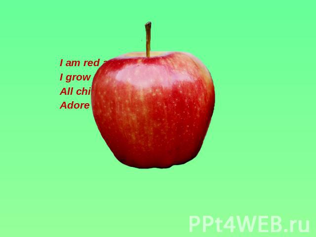 I am red and round, I grow on the tree. All children and adults Adore eating me.