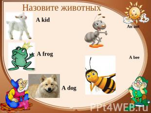 Назовите животных A kid A frog A dog An any S bee