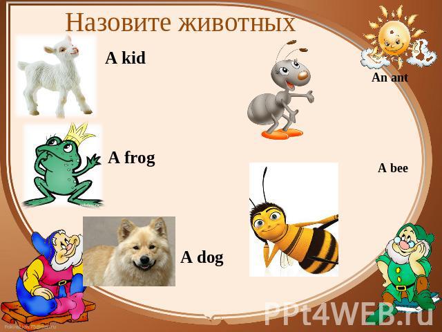 Назовите животных A kid A frog A dog An any S bee