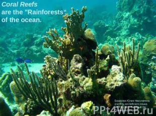 Coral Reefs are the "Rainforests“of the ocean. Борисова Юлия Николаевна учитель