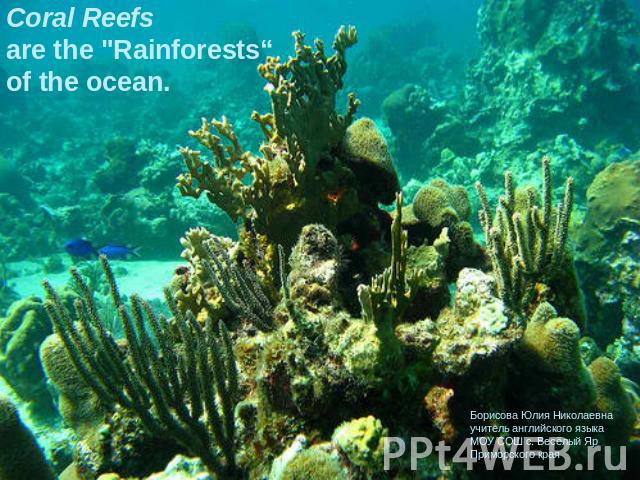 Coral Reefs are the 