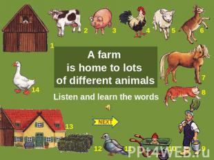 A farm is home to lots of different animals Listen and learn the words NEXT