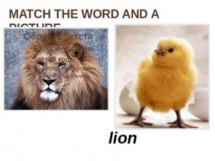 MATCH THE WORD AND A PICTURE lion