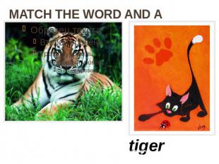 MATCH THE WORD AND A PICTURE tiger