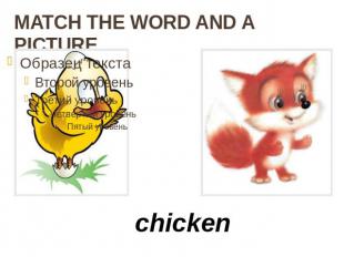 MATCH THE WORD AND A PICTURE chicken