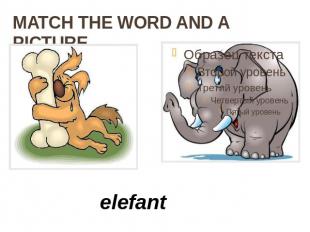 MATCH THE WORD AND A PICTURE elefant