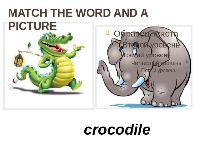 MATCH THE WORD AND A PICTURE crocodile