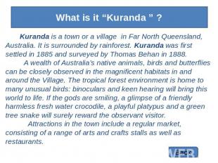 What is it “Kuranda ” ? Kuranda is a town or a village in Far North Queensland,