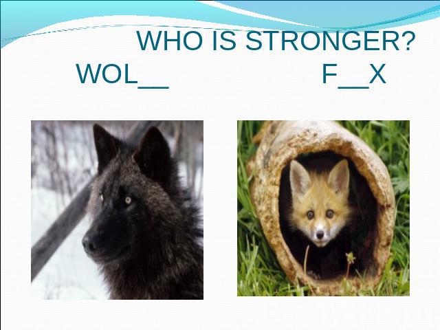 WHO IS STRONGER? WOL__ F__X